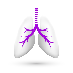 Respiratory Icon
